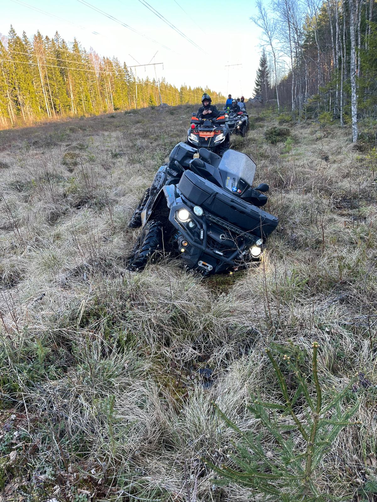 M�nkij�kuva